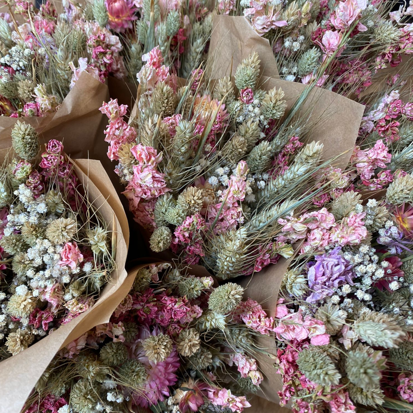 DRIED FLOWERS, PINK & GREEN