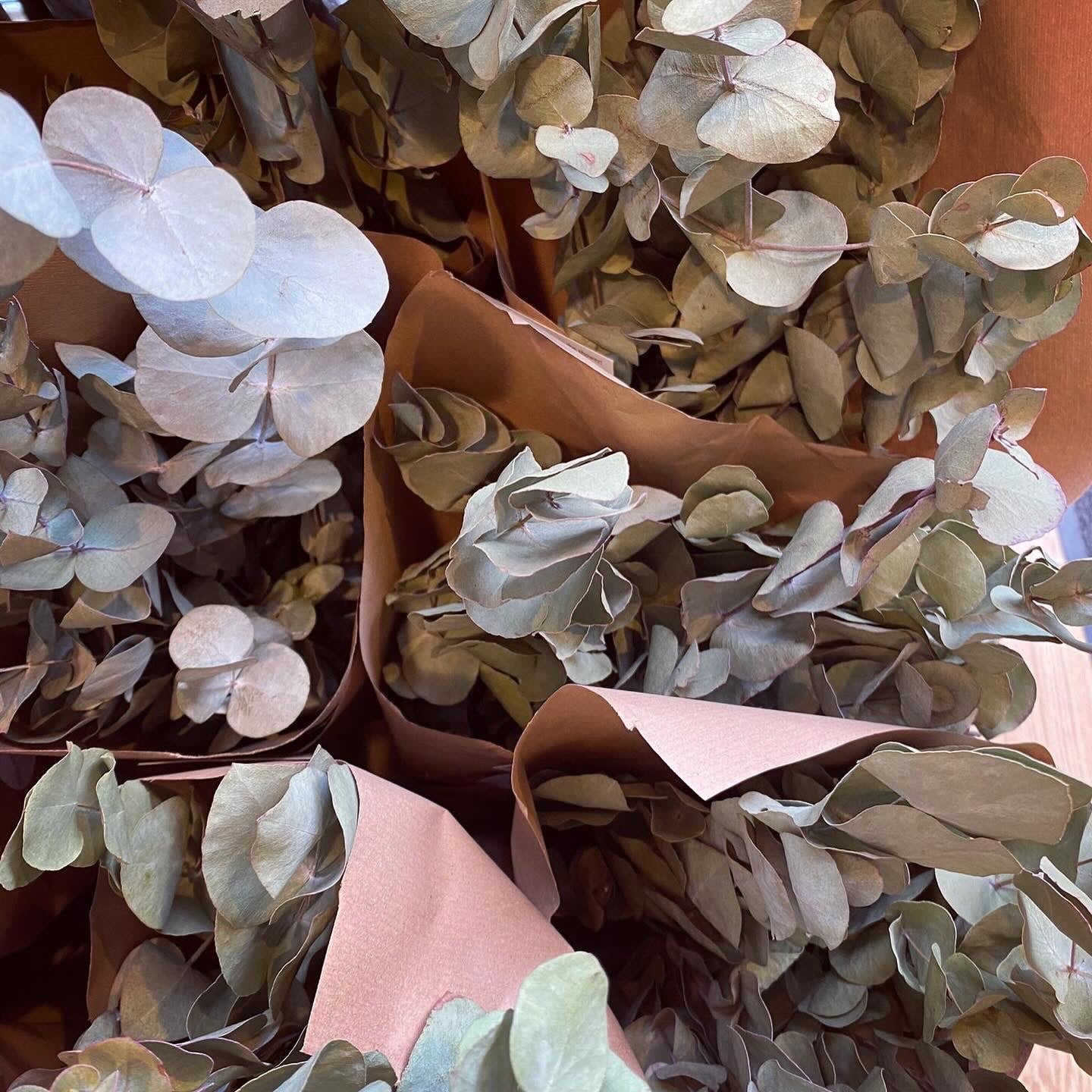 DRIED EUCALYPTUS BUNCH