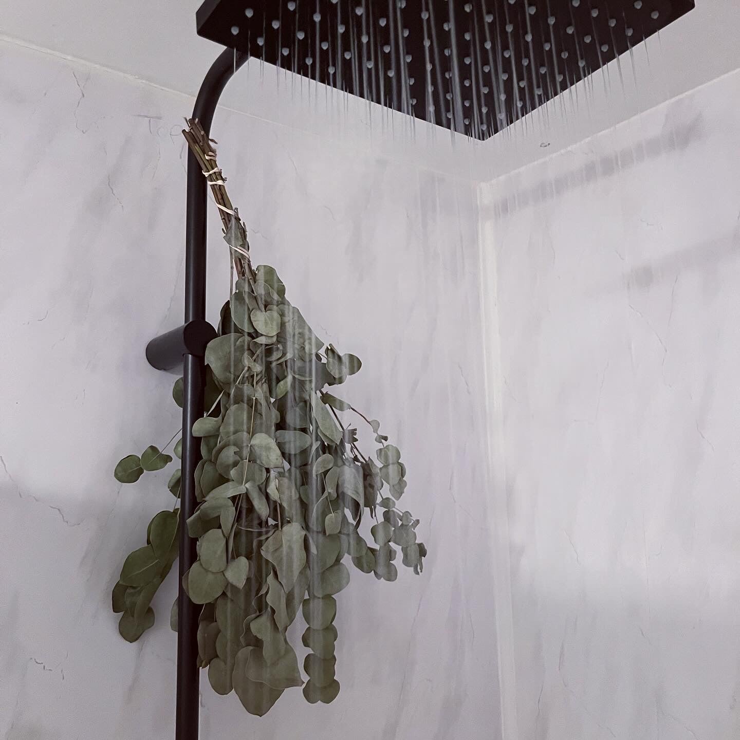 DRIED EUCALYPTUS BUNCH