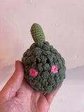 ACORN SQUASH RATTLE