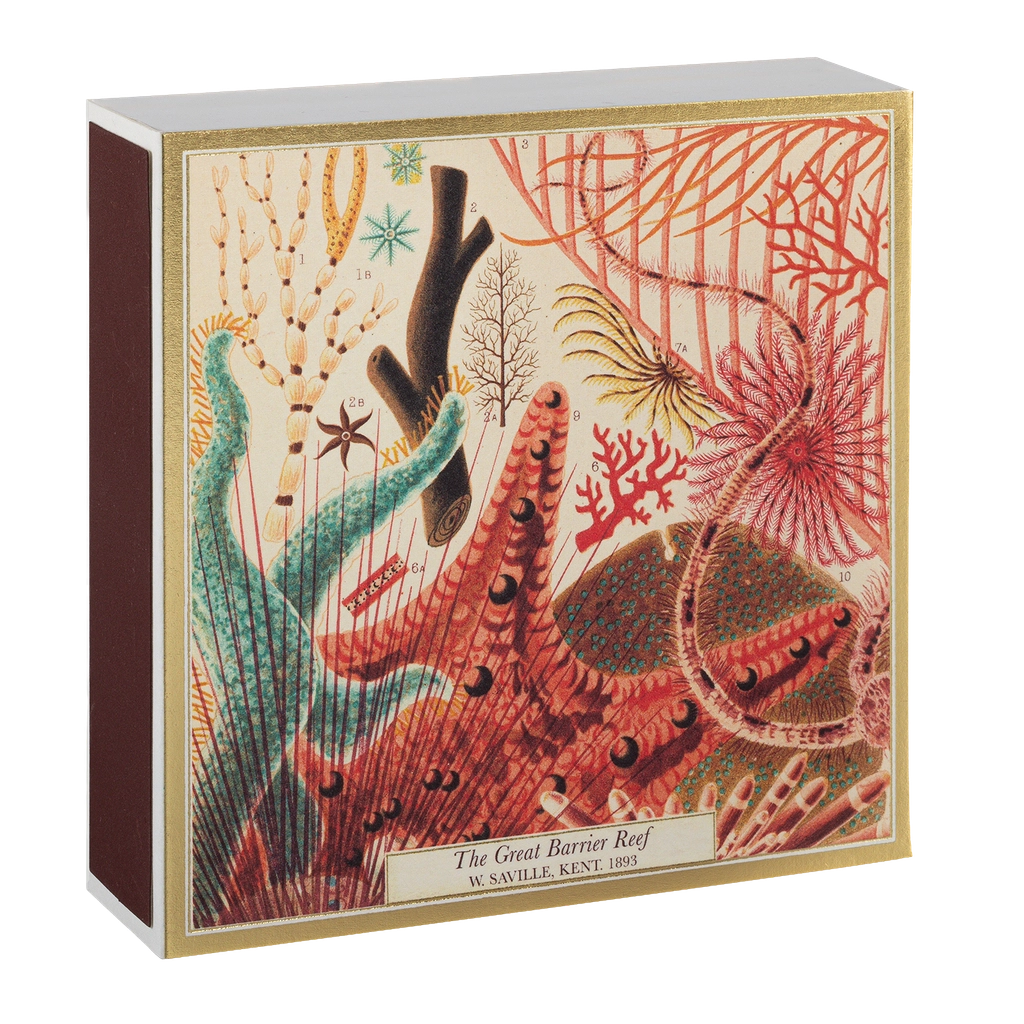 GREAT BARRIER REEF MATCHES