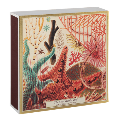 GREAT BARRIER REEF MATCHES