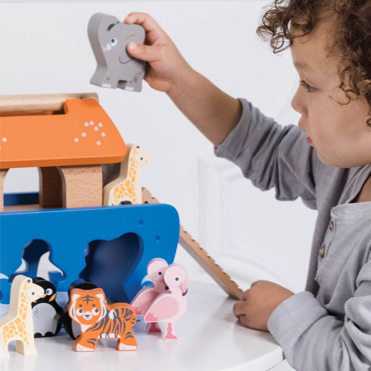 Wooden Ark & Animals Shape Sorter