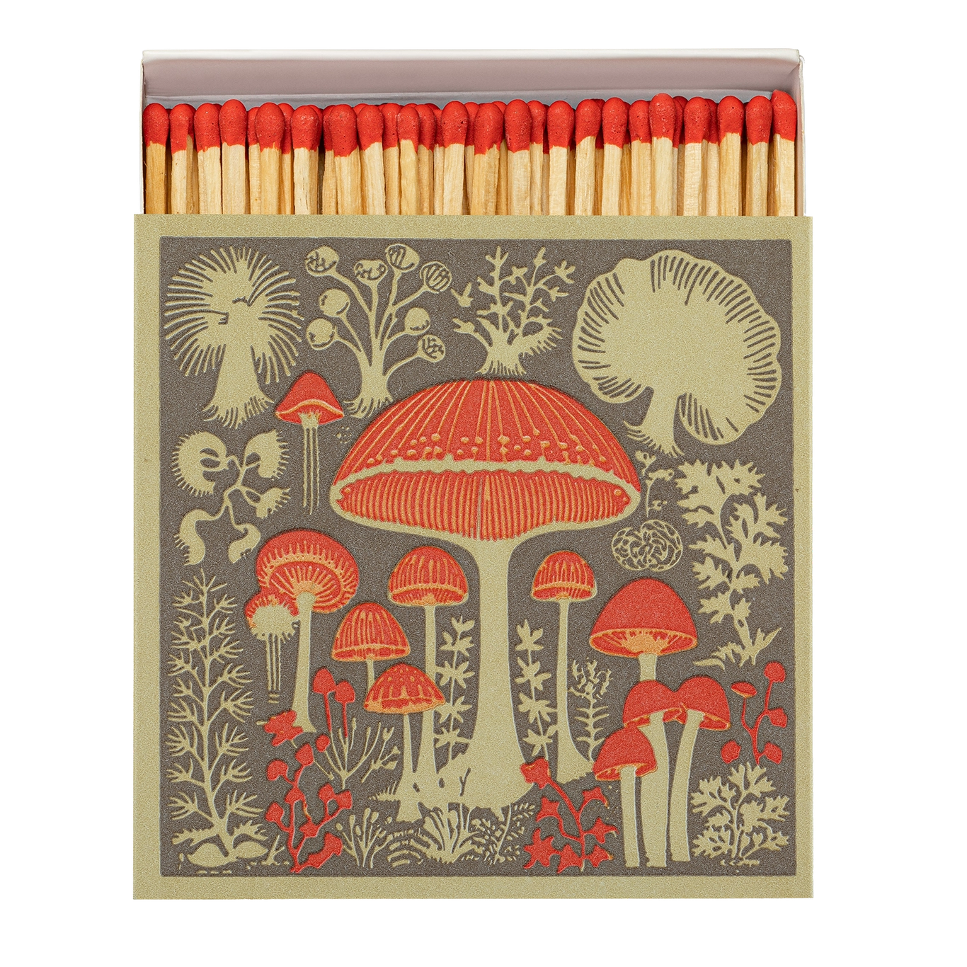 MUSHROOM MATCHES