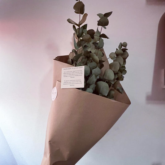 DRIED EUCALYPTUS BUNCH