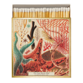 GREAT BARRIER REEF MATCHES