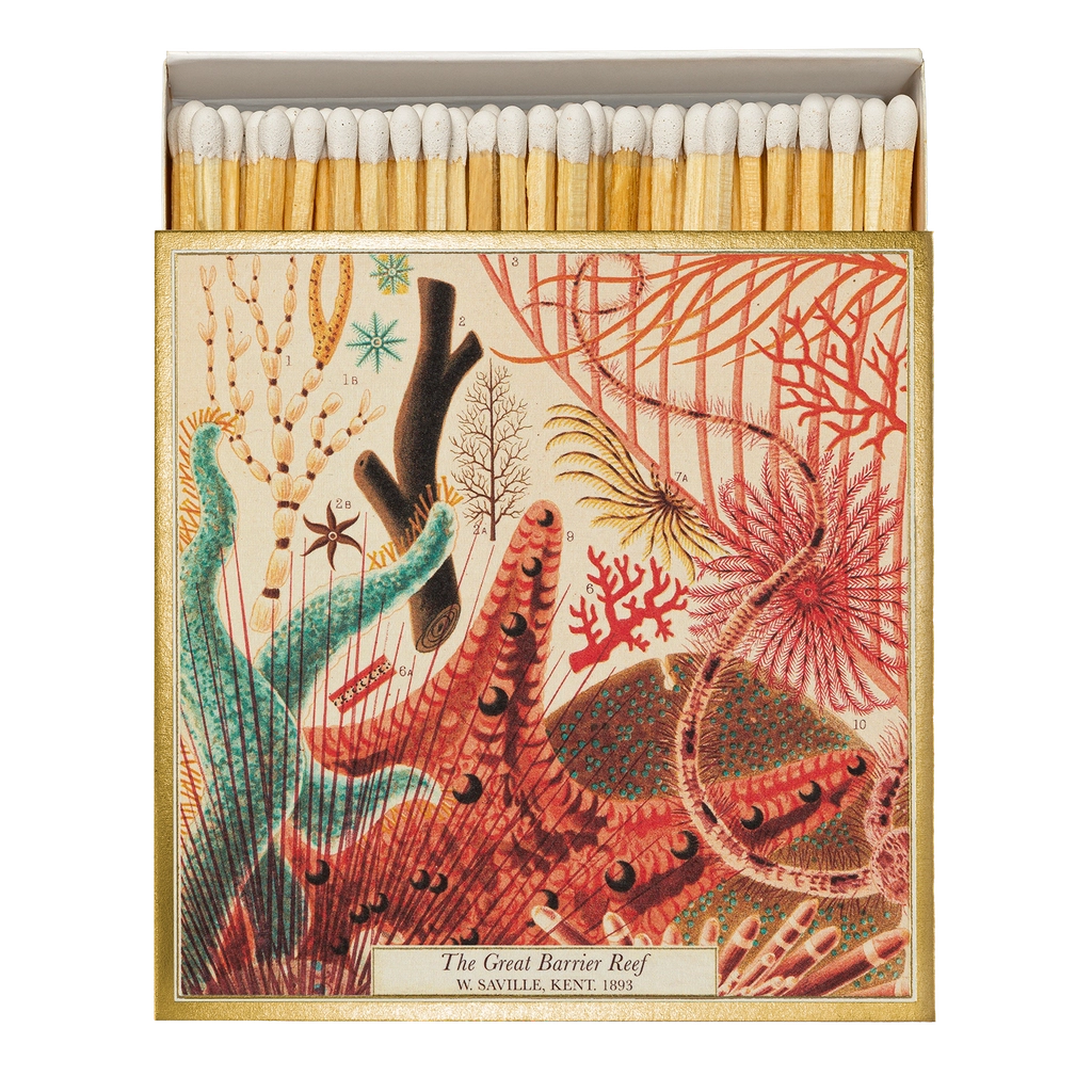 GREAT BARRIER REEF MATCHES