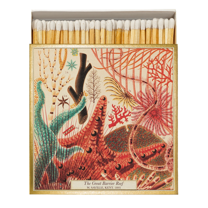 GREAT BARRIER REEF MATCHES