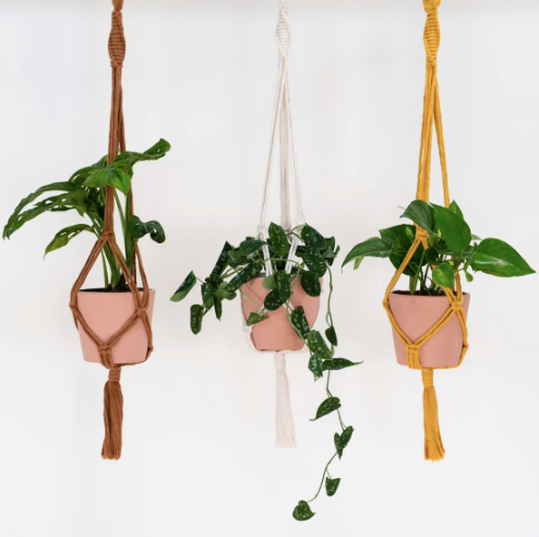 Make your own Macrame Plant Hanger Kit